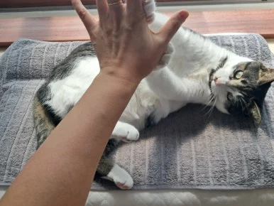 20240815%EF%BC%BF100543.jpg?type=w386