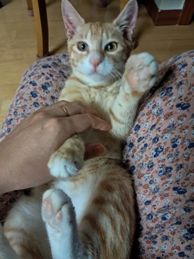 900%EF%BC%BF20251002%EF%BC%BF081006.jpg?type=w386