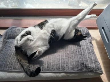 20240815%EF%BC%BF100454.jpg?type=w386