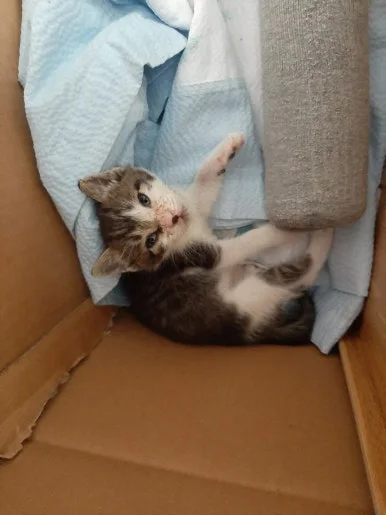 20210530%EF%BC%BF114833.jpg?type=w386