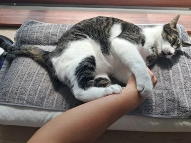 20240815%EF%BC%BF100815.jpg?type=w386