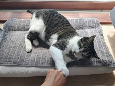 20240815%EF%BC%BF101007.jpg?type=w386