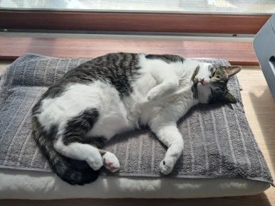 20240815%EF%BC%BF100459.jpg?type=w386