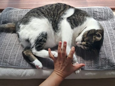 20240815%EF%BC%BF100655.jpg?type=w386