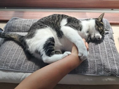 20240815%EF%BC%BF100847.jpg?type=w386