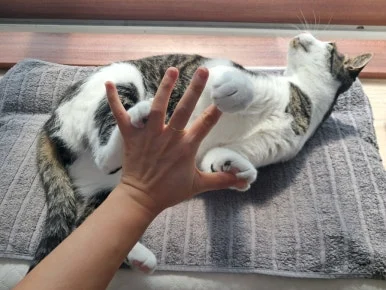 20240815%EF%BC%BF100628.jpg?type=w386