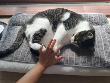 20240815%EF%BC%BF100724.jpg?type=w386