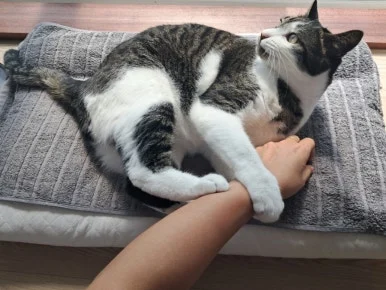 20240815%EF%BC%BF100800.jpg?type=w386