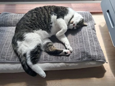 20240815%EF%BC%BF100449.jpg?type=w386