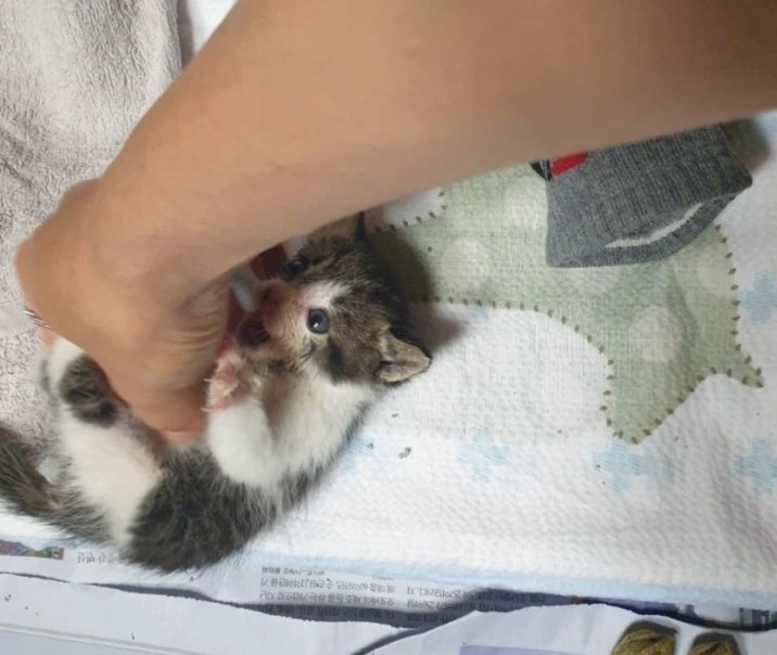 1728547983719.jpg?type=w773