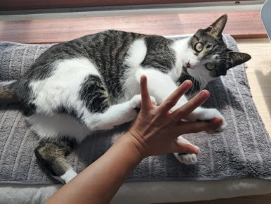 20240815%EF%BC%BF100707.jpg?type=w386