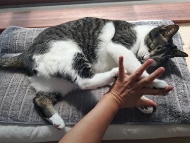 20240815%EF%BC%BF100701.jpg?type=w386