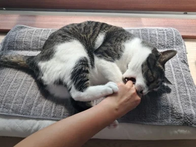 20240815%EF%BC%BF100853.jpg?type=w386