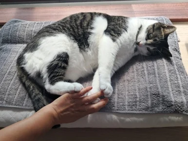 20240815%EF%BC%BF100518.jpg?type=w386