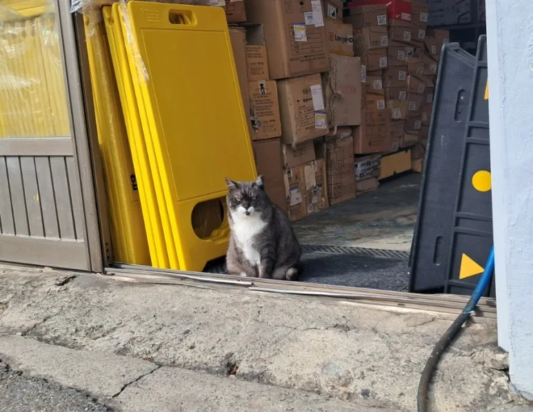 900%EF%BC%BF20250116%EF%BC%BF130004.jpg?type=w773