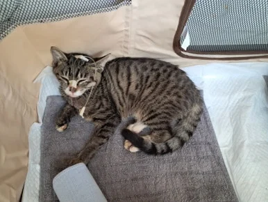 900%EF%BC%BF20251015%EF%BC%BF132223.jpg?type=w386