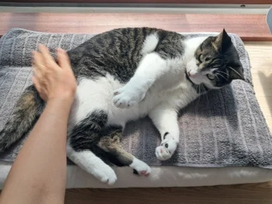 20240815%EF%BC%BF100738.jpg?type=w386