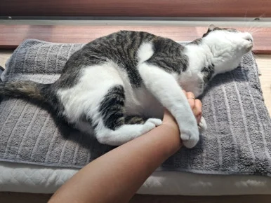 20240815%EF%BC%BF100849.jpg?type=w386