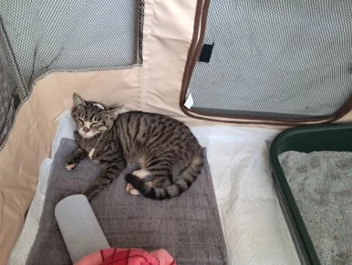 900%EF%BC%BF20251015%EF%BC%BF132216.jpg?type=w386