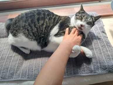 20240815%EF%BC%BF101203.jpg?type=w386