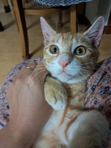 900%EF%BC%BF20251002%EF%BC%BF080943.jpg?type=w386