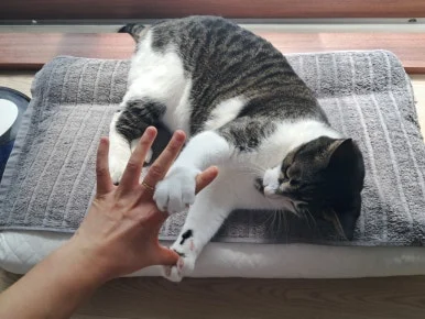 20240815%EF%BC%BF101016.jpg?type=w386