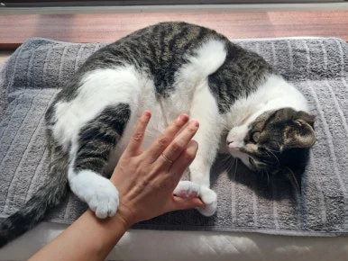 20240815%EF%BC%BF100527.jpg?type=w386