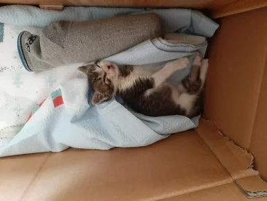 20210530%EF%BC%BF095247.jpg?type=w386