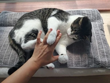 20240815%EF%BC%BF100600.jpg?type=w386