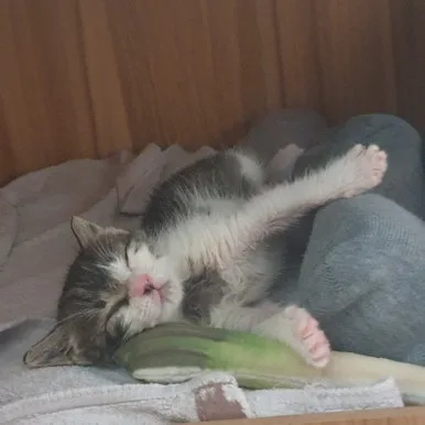 1621909112449%EF%BC%8D0.jpg?type=w386