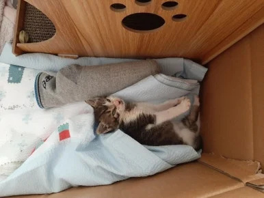 20210530%EF%BC%BF095228.jpg?type=w386