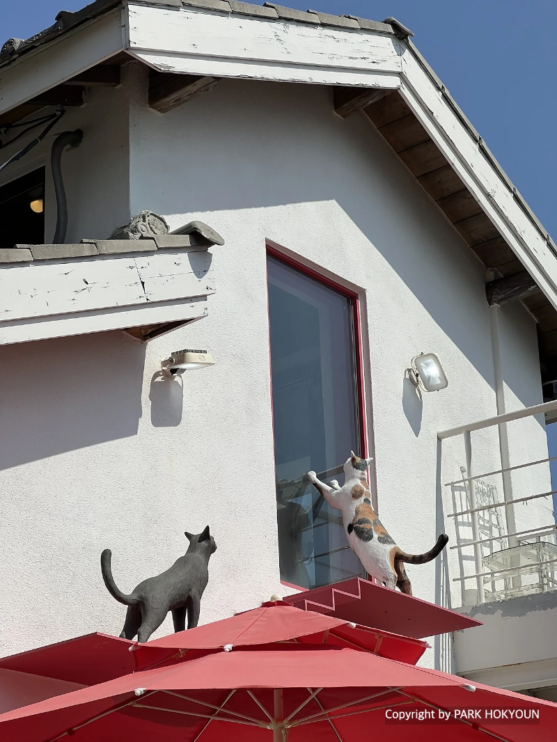 IMG_0741 복사본.HEIC