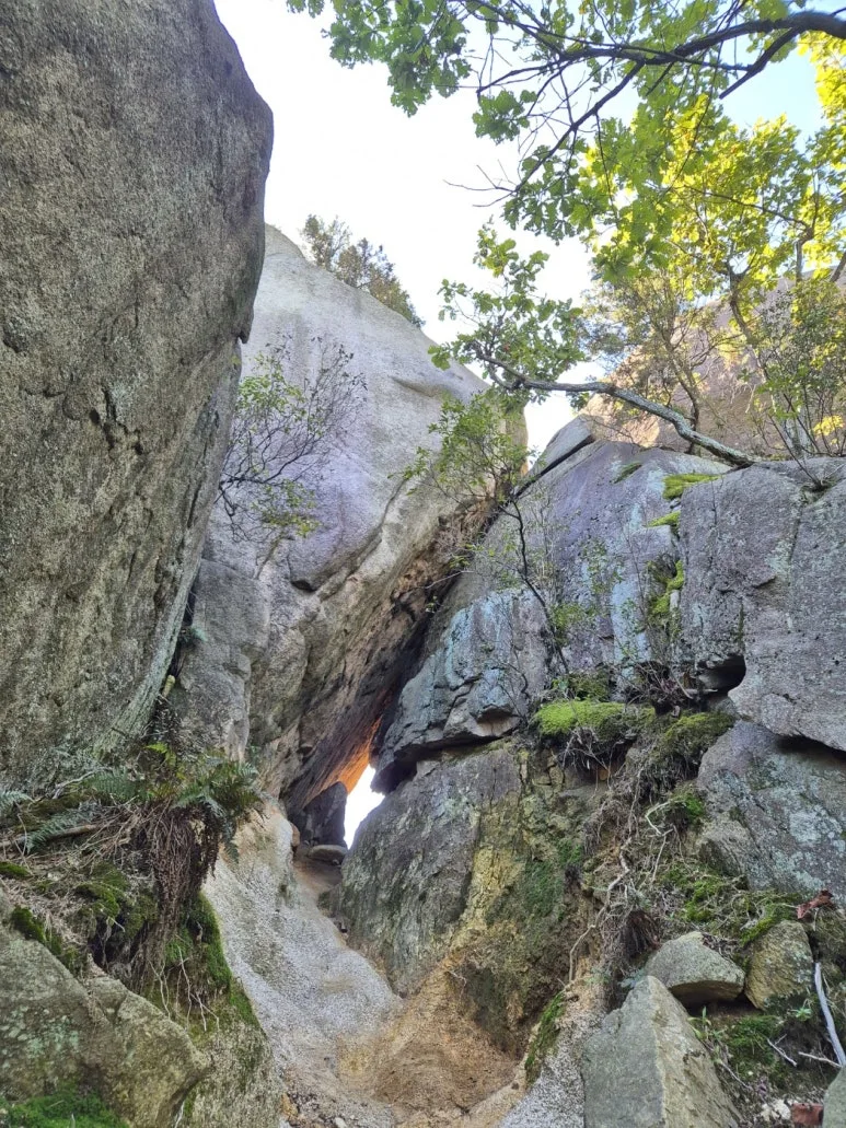 KakaoTalk_20240929_142606753.jpg?type=w773