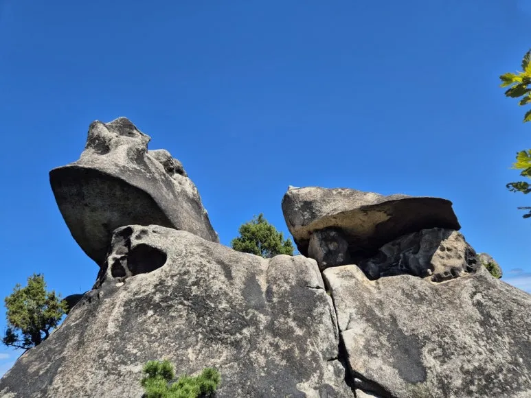 KakaoTalk_20240929_142606753_03.jpg?type=w773