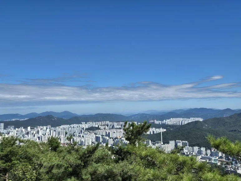 KakaoTalk_20240929_142606753_04.jpg?type=w773