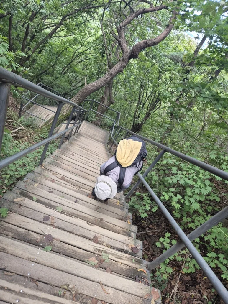 KakaoTalk_20240922_232925174_01.jpg?type=w773