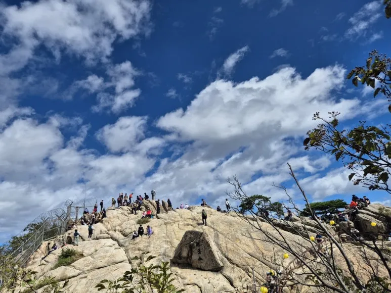 KakaoTalk_20240922_233305739.jpg?type=w773