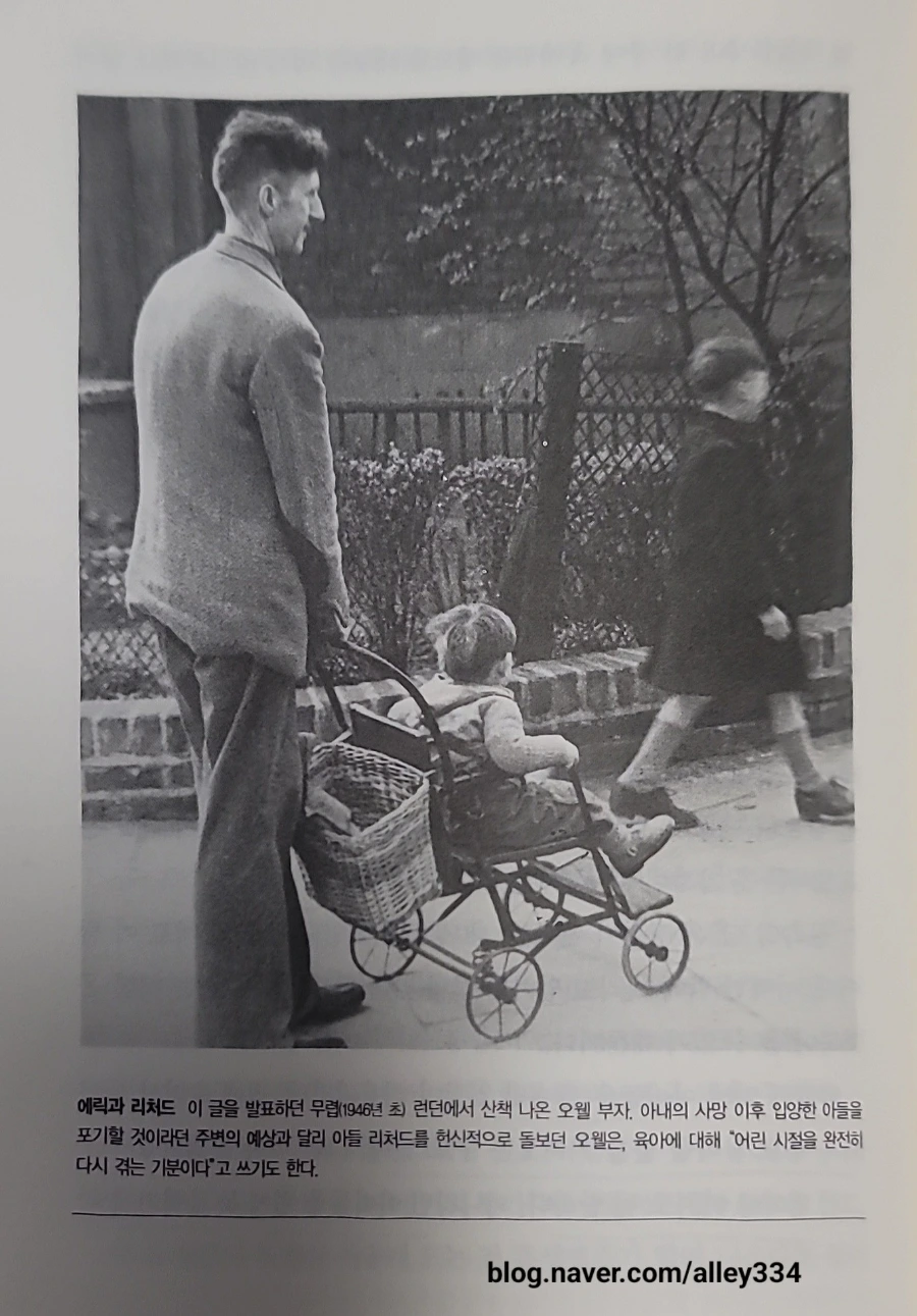 1688717857906.jpg?type=w966