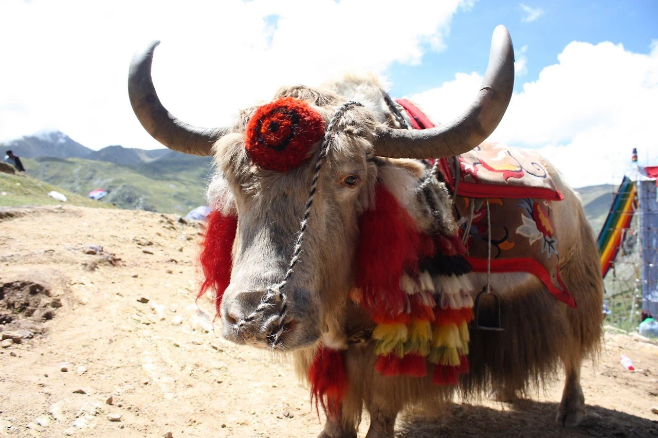 _drQmBJuLexo242DsxjLbrP2GA5zcbr2OE-i3Tv4SE-KXo_Xh_5kPWotCFTAwvlMr9cwuH3aZPQcgGky-PVzEmm6Jw_CyQE1NehmhTvcj0-ynDYnbuOYLgjnYRVp3pCrO7YCQwfsGkHWfZm7lub1Tw