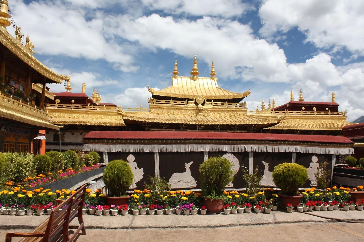 4EzAGefQZN7IaV6-Juy86LPxW9uvxn_B4M0McFeEDGwWnyUwx_n8VRqhPE7LxeRRi_SkX4Bvn0-0ZP3PFaMgBWjNQzqi4eBwT1Gf0DZ9YeEn_CzUKjwLwjC8YBWZ6sHTt2P0L18u6HtA9kxDGbZ_AQ