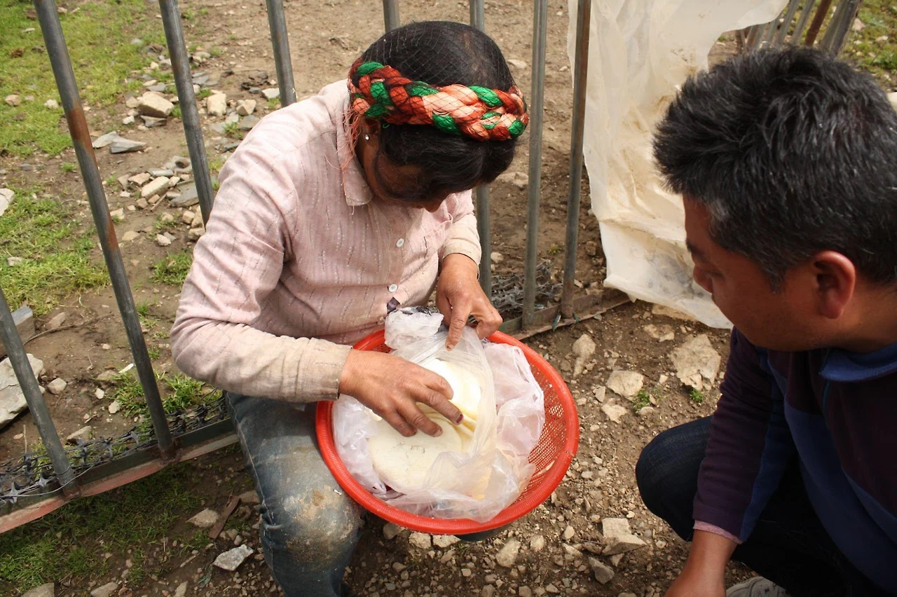 55gmDw7etKUL9eJmWANweeO4b5tE49vauxjxkZSFi6uthscsmZ-h67Pp2IBNeMRf6kT7D0mNDm19ZWI3AUSOV6O6tHWhqwZ8nq1IMsvsABFSv5qKCH2VWN-qx3AksU6Xh-LBVJssYVvVWTWUYp9r8w