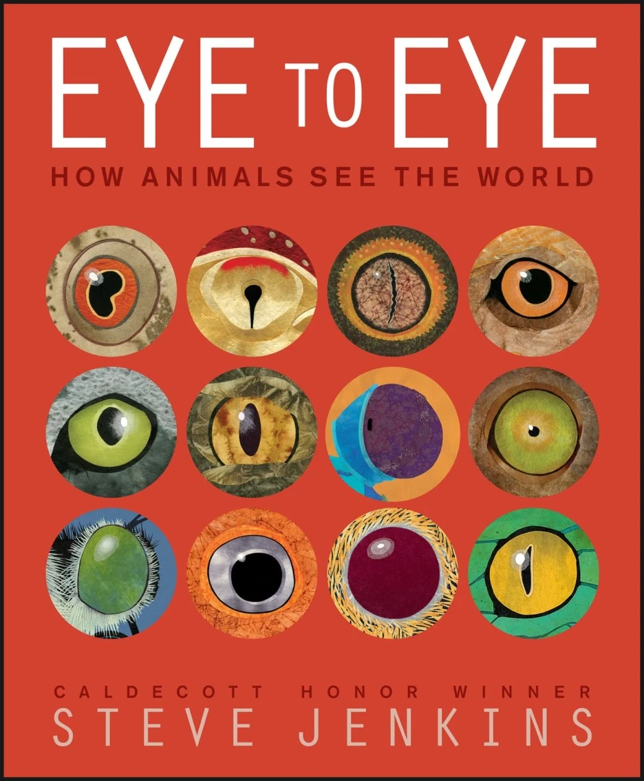 SE-11cde551-8167-44a3-8482-b73c81763aea.jpg?type=w1