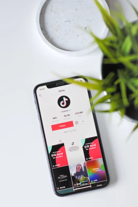 %EC%88%8F%ED%8F%BC1.PNG?type=w1