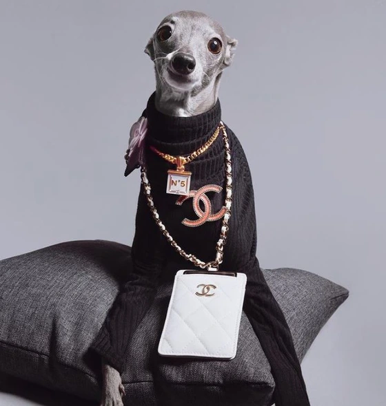 f22a4d1f-f77f-4b89-bc2c-58953704b076.jpg?type=w1