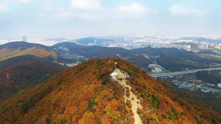 ac993510816b6.jpg?type=w1