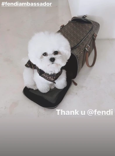 SE-6956b62c-1f82-40e4-aad4-b94e32eb94af.png?type=w1