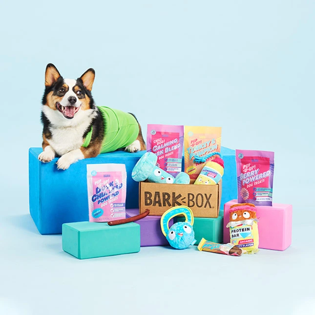 classic_barkbox_og-70dde6b7e1dddbe00c05405e9253dec2154e3fb920cd40a555b01a4bb.jpg?type=w1