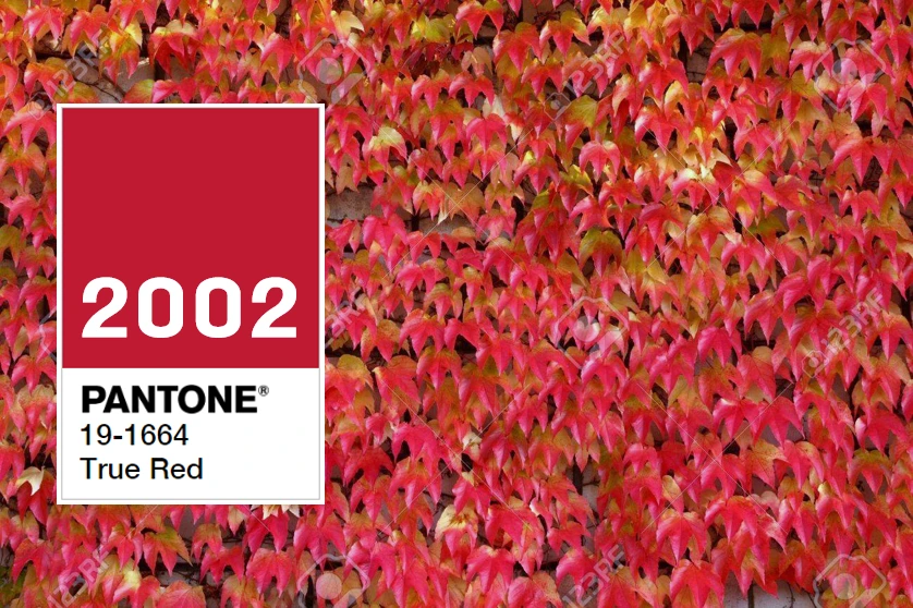 %EB%8B%A4%EC%9A%B4%EB%A1%9C%EB%93%9C.png?type=w1