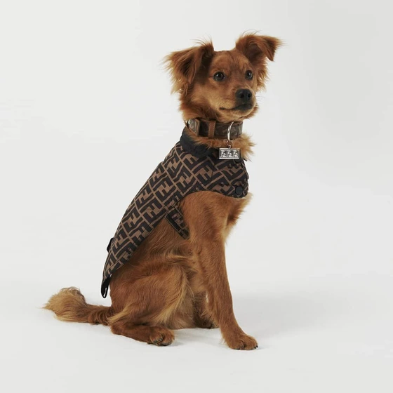 514aa863-3f6c-471d-993a-cba453399273.jpg?type=w1