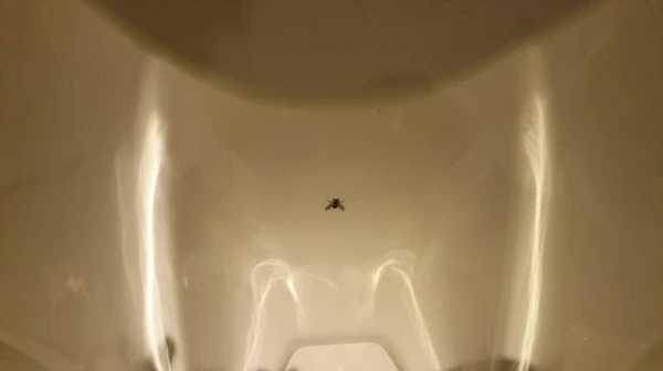 SE-ec213a74-68c0-403c-a02b-c98626586f6e.jpg?type=w966